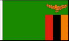 Zambia Hand Waving Flags